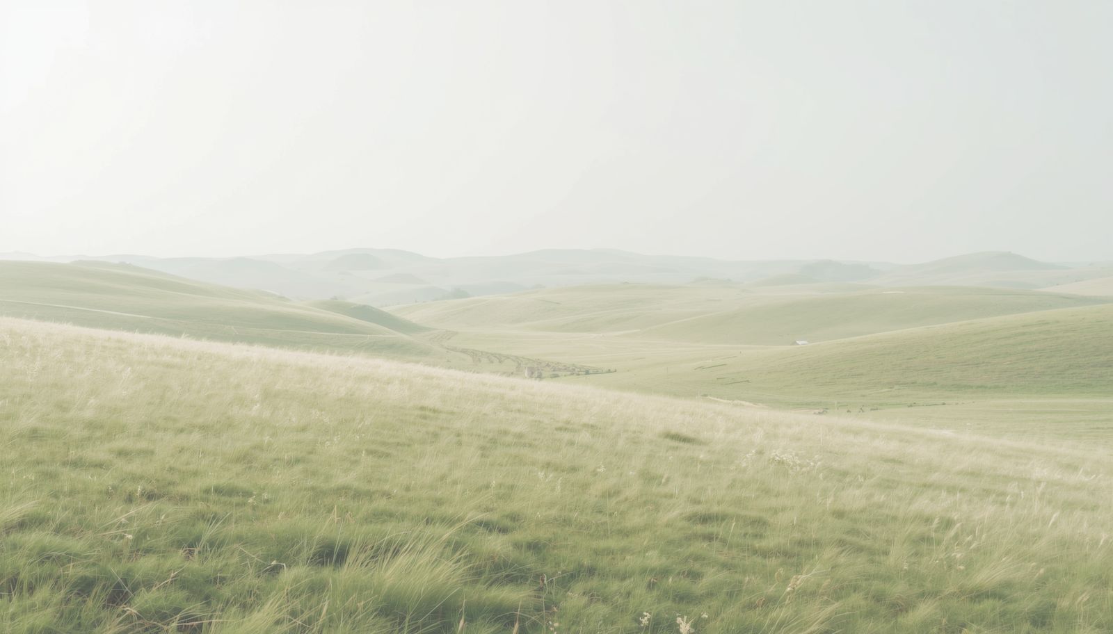 Zacht glooiend landschap zonder duidelijke richting – wanneer licht geen richting meer geeft